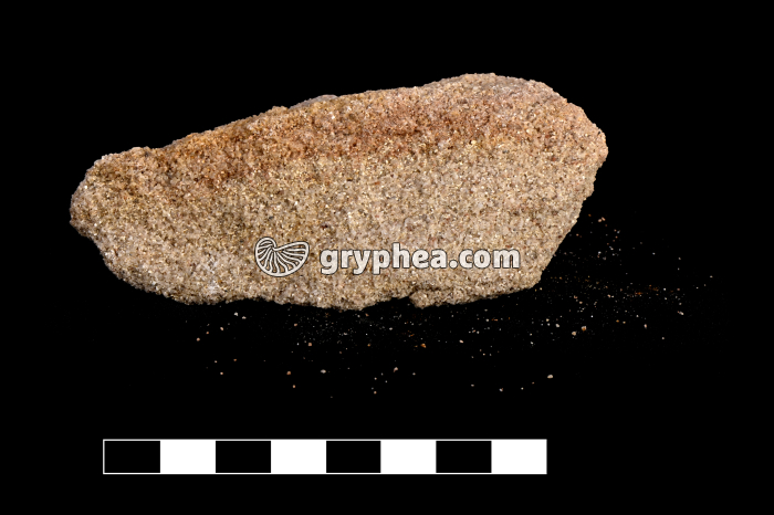 Grès - échantillon - gryphea.org